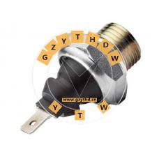 047 919 081 A,Oil Pressure Switch,047919081A,SEAT,047 919 081 A,SKODA