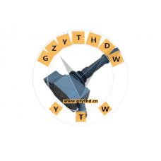 3705100-EG01，Ignition Coil，3705100-EG01，GREAT WALL，3705100-EG01