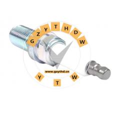 Spark Plug,12 12 0 037 663,BMW,12 12 0 037 663,BMW (BRILLIANCE),12120037663,,,