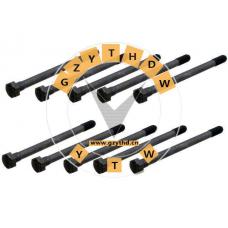 11 12 0 621 144,Cylinder Head Bolt,11120621144,BMW,11120621144,TOYOTA