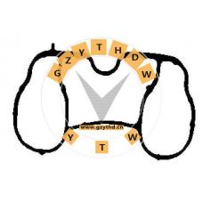 2N1U-9441-BB，Intake Manifold Gasket，2N1U-9441-BB，FORDUSA，2N1U9441BB