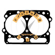 4058790,DAF,4058790,4058790,Cylinder Head Gasket