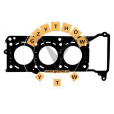 642 016 54 20,DAF,6420165420,6420165420,Cylinder Head Gasket