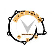 ，MAN，OtherGasket，Gasket,waterpump，51.06901.0196，51.06901.0196，51.06901.0196