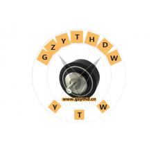 10070131610000，Idler Pulley，10070131610000，GAC GONOW，10070131610000