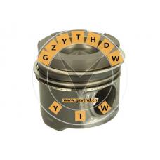 Piston，51 02500 6165，，51025006165，MAN，51 02500 6165，，