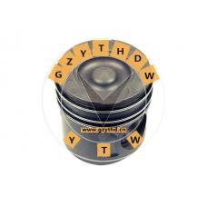 Piston，51 02500 6103，，51025006103，NEOPLAN，51 02500 6103，MAN，