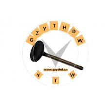 025 109 612 A，Exhaust Valve，025109612A，VOLKSWAGEN，025 109 612 A，