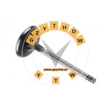 030 109 611 A，Exhaust Valve，030109611A，VOLKSWAGEN，030 109 611 A，SEAT