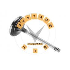 028 109 611 E，Exhaust Valve，028109611E，SKODA，028 109 611 E，VOLKSWAGEN