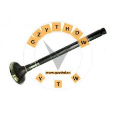 13202-2W200，Exhaust Valve，13202-2W200，RENAULT，132022W200，OPEL