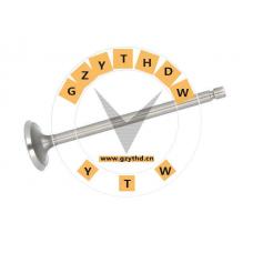 4895051，Exhaust Valve，4895051，KAMAZ，4895051，DAF